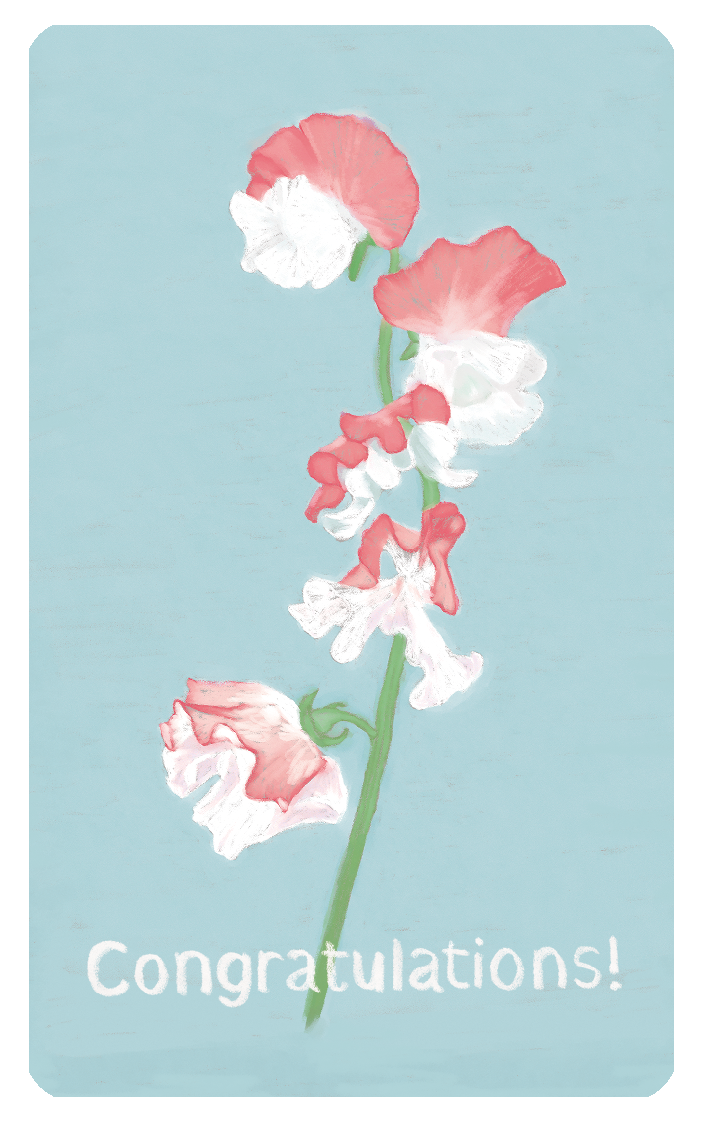 各種カード（無料）